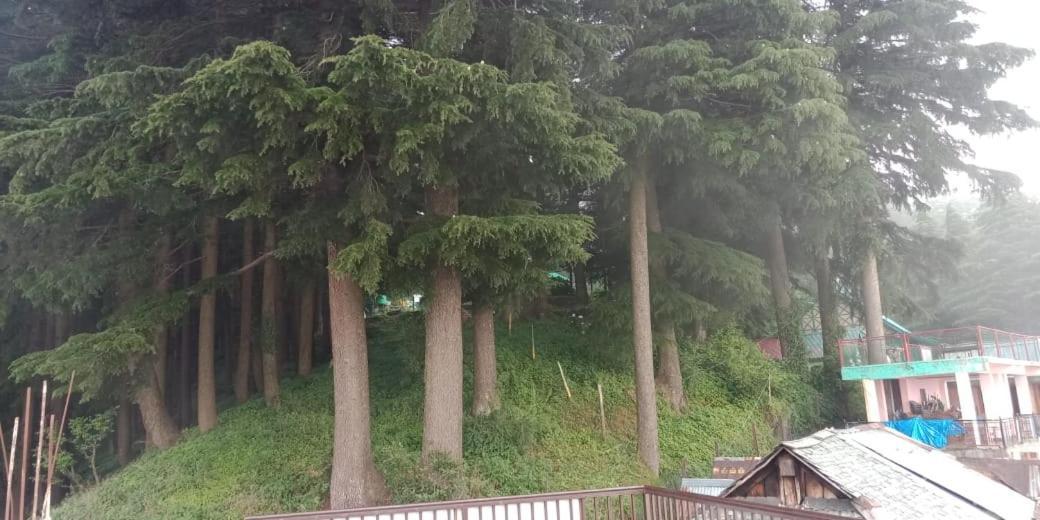 Hotel forest view Lāhri Eksteriør bilde