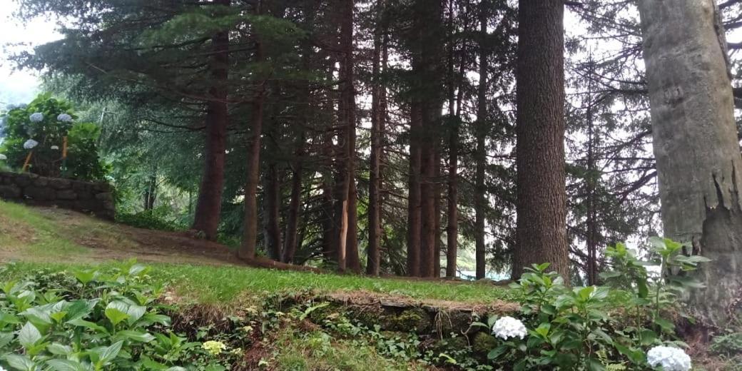 Hotel forest view Lāhri Eksteriør bilde